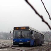 MAZ 103 #09