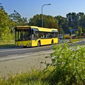 Solaris Urbino 12 #329