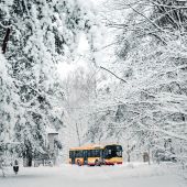 "Solaris Urbino 12 #1159"