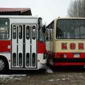 Ikarus 260.04 #BV01