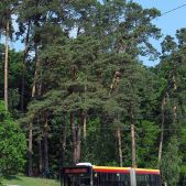 Solaris Urbino 18 #8198