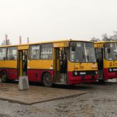 Ikarus 260.04 #320