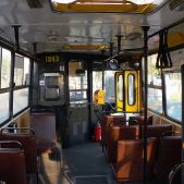 Ikarus 260.04 #1243