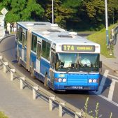 Scania CN113ALB #PE099