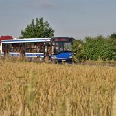 Solaris Urbino 12 #BU820