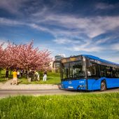 Solaris Urbino 12 #PU377