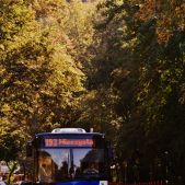 Solaris Urbino 12 #BU894