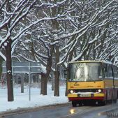 Ikarus 280.26 #5300