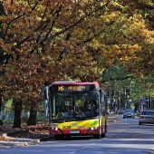 Solaris Urbino 10,5 #2020