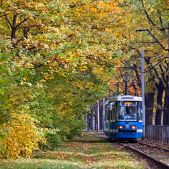Konstal 105NWr #2338+2337