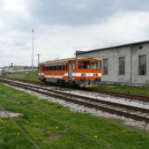 811-010