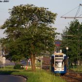 Bombardier NGT6 #2007