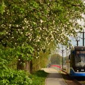 Bombardier NGT6 #2048