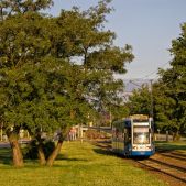 Bombardier NGT6 #2010