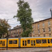 Bombardier NGT6 #2017
