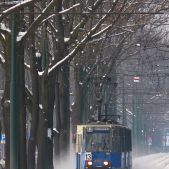 Konstal 105Na #482+483+484