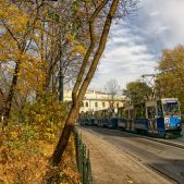 Konstal 105Na #833+835+836
