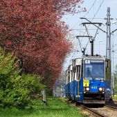 Konstal 105Na #445+446+405