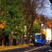 Konstal 105Na #480+481
