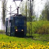 Konstal 105Na #486+485