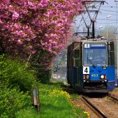Konstal 105Na #493+494+495