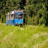 Konstal 105Na #402+403