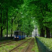 Konstal 105Na #802+794+795