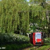 Konstal 105Na #823+824