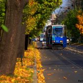 Konstal 105Na #827+828