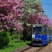 Konstal 105Na #865+866+868