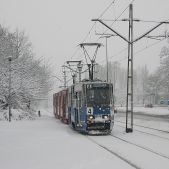 Konstal 105Na #428+448+447