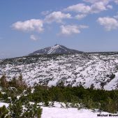 Śnieżka