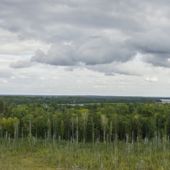 Widok z wieży
