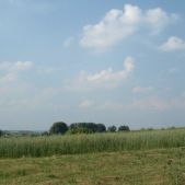 Widok z Olszanicy