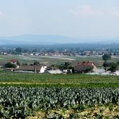 Tropiszów