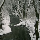Rzeka Dłubnia