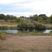 Rzeka Cybina
