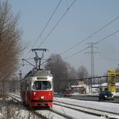 E1 #101