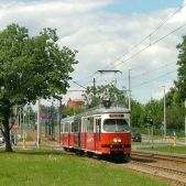 E1 #125+585