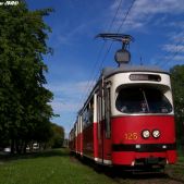 E1 #125+585