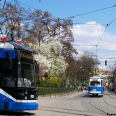 E1 #135+595