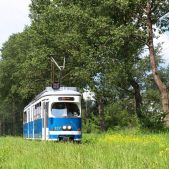 E1 #137