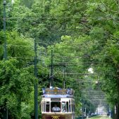 MAN GT6 Cafe Tram