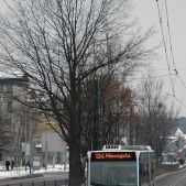 Mercedes O530G #DC513