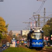 EU8N #3015