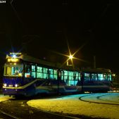 EU8N #3019